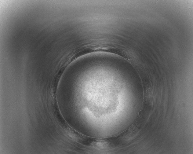 X0000067510506200604150137