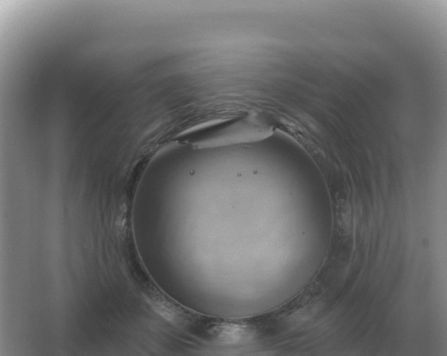 X0000067510507200604150137