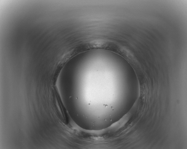 X0000067510509200604150137