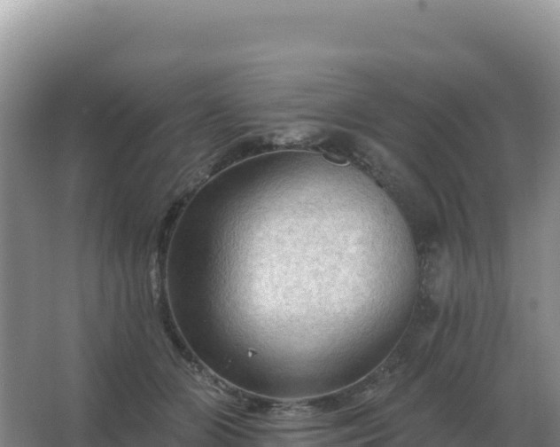 X0000067510510200604150137