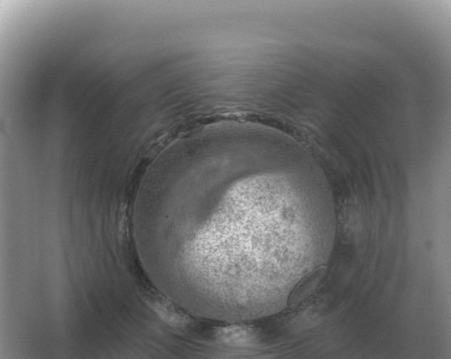 X0000067510511200604150137