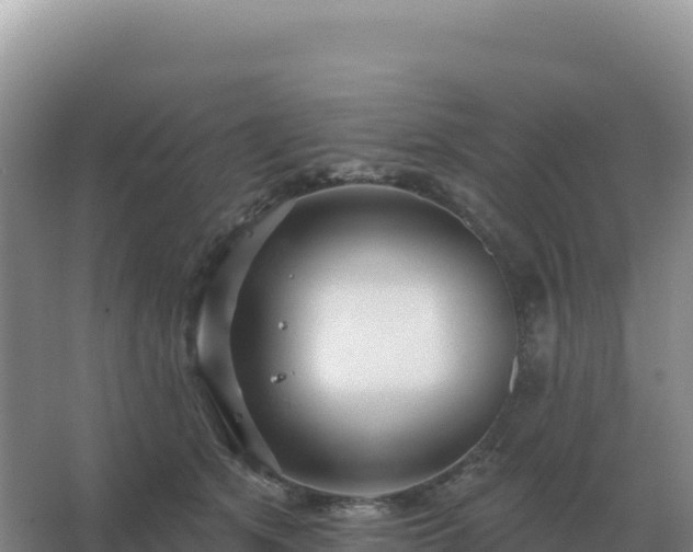 X0000067510513200604150137