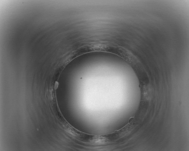 X0000067510514200604150137