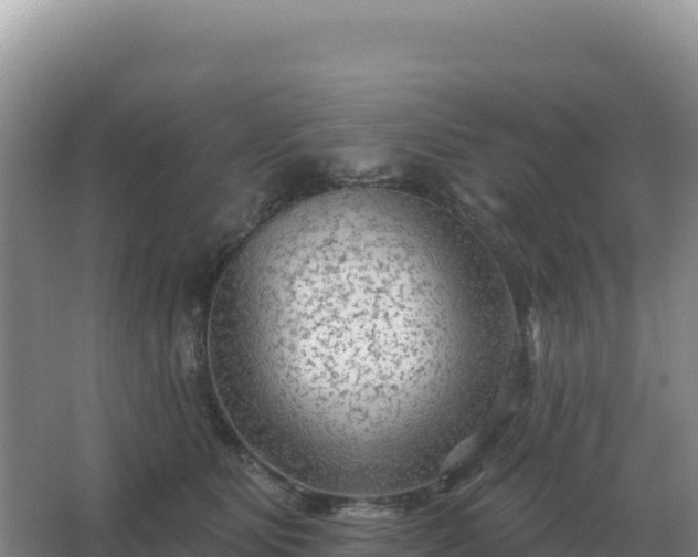 X0000067510515200604150137