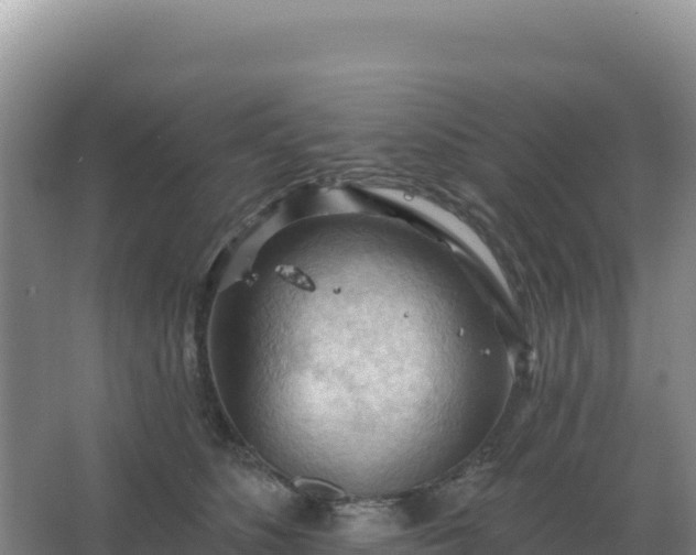 X0000067510516200604150137