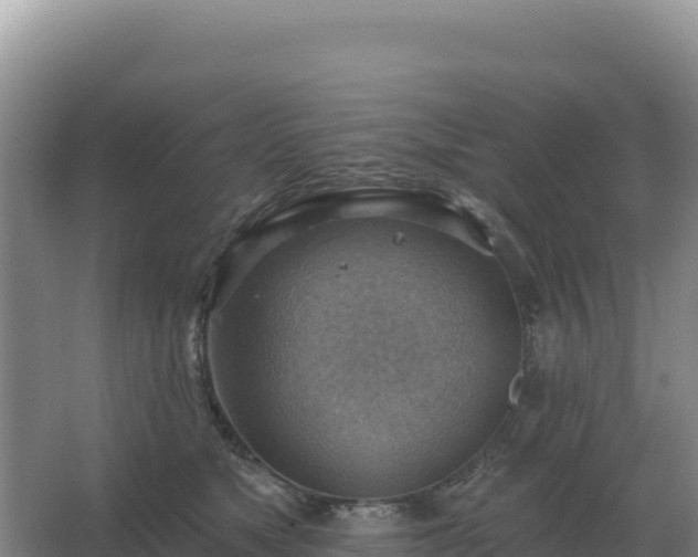 X0000067510517200604150137