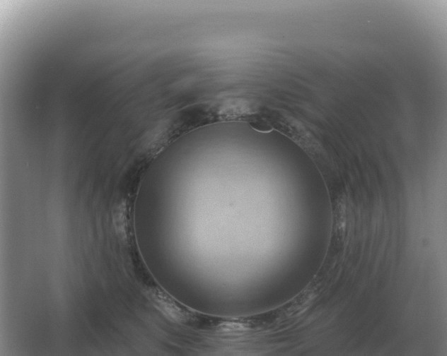 X0000067510519200604150137