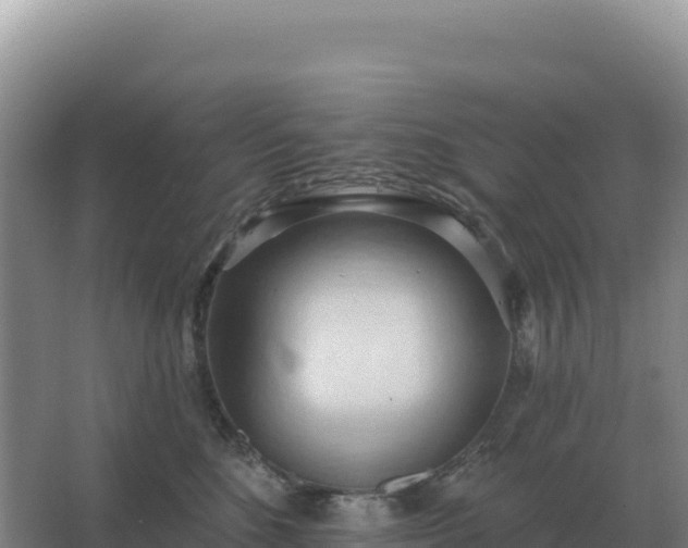 X0000067510520200604150137