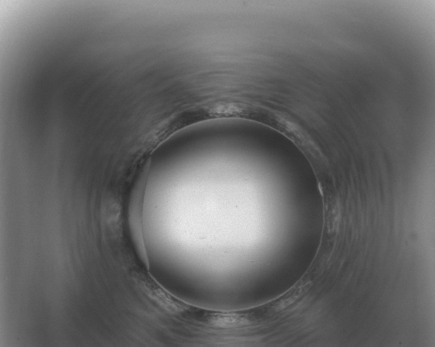 X0000067510521200604150137