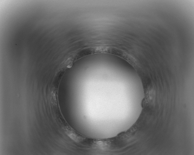 X0000067510522200604150136