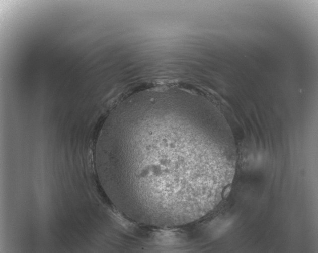 X0000067510523200604150136