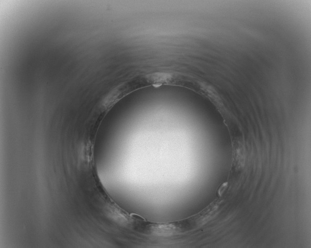 X0000067510525200604150136