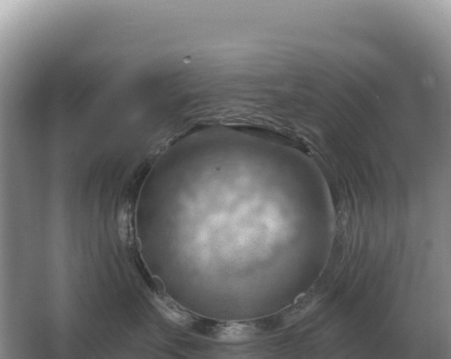 X0000067510527200604150136