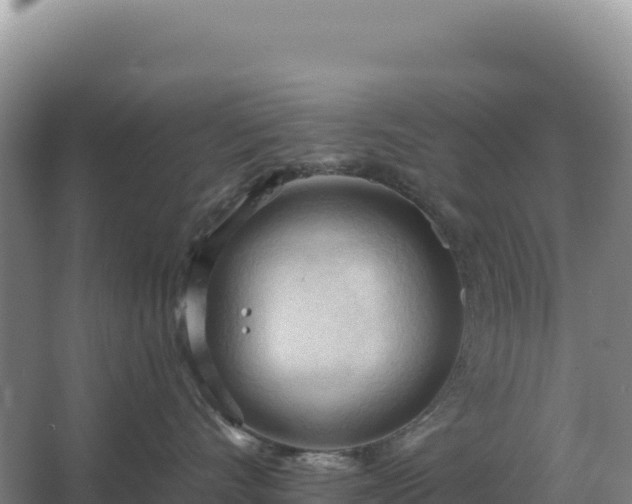 X0000067510528200604150136