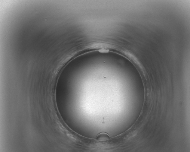 X0000067510529200604150136