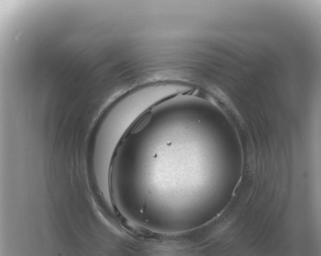 X0000067510530200604150136