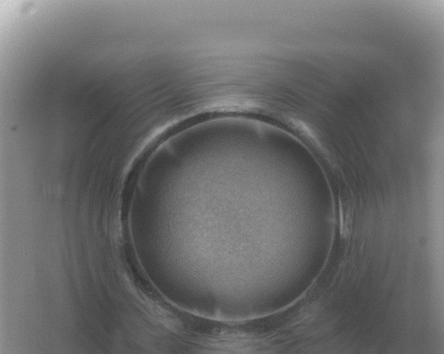 X0000067510531200604150136