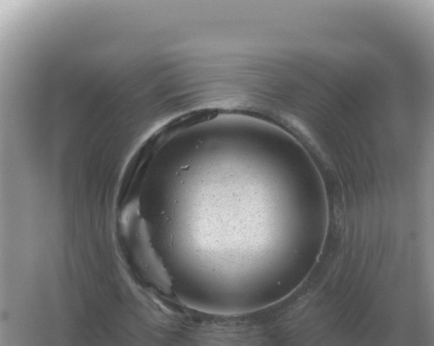 X0000067510532200604150136