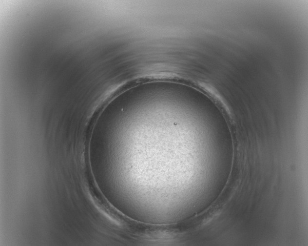 X0000067510533200604150136