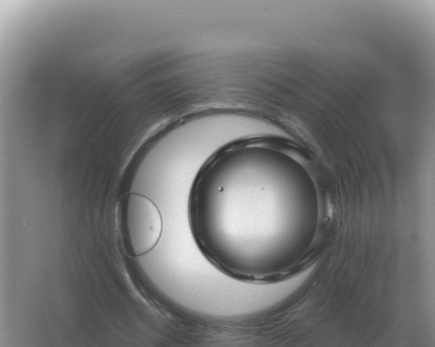 X0000067510534200604150136