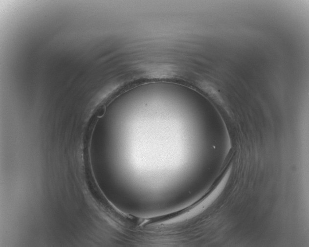 X0000067510535200604150136