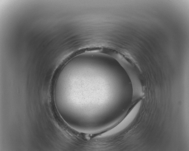 X0000067510536200604150136