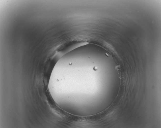 X0000067510538200604150136