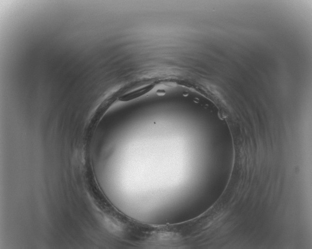 X0000067510539200604150136