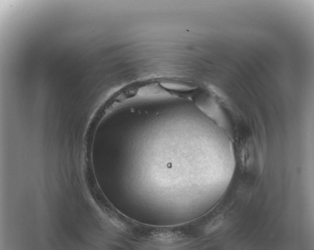 X0000067510540200604150136