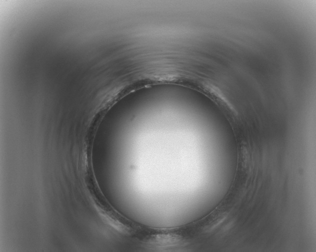 X0000067510541200604150136