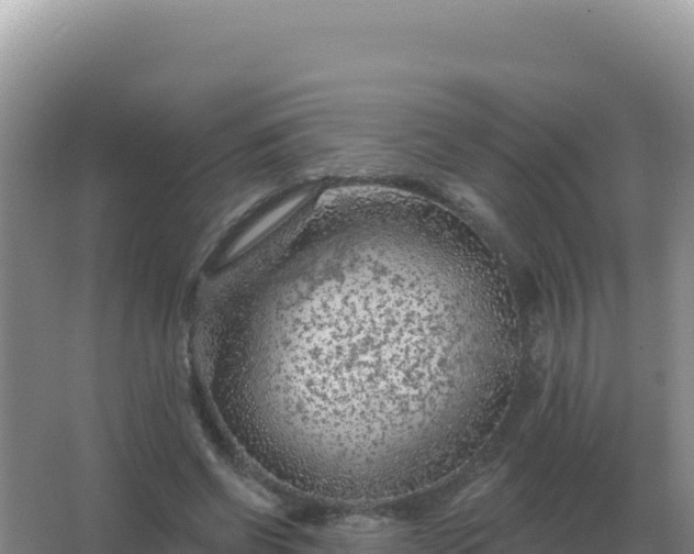 X0000067510542200604150136