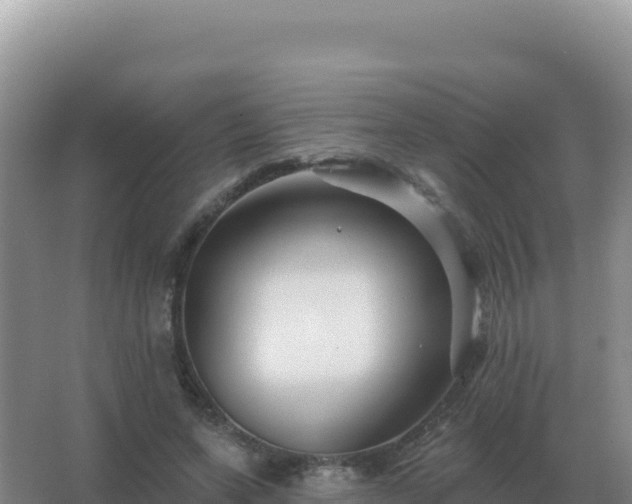 X0000067510543200604150136