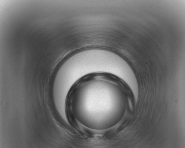 X0000067510544200604150136