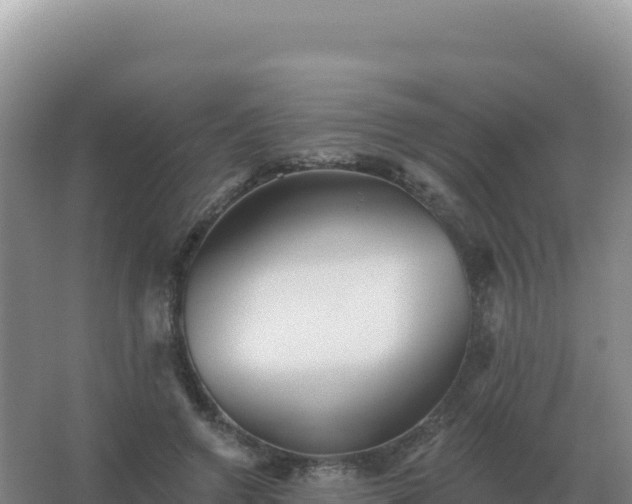 X0000067510546200604150136