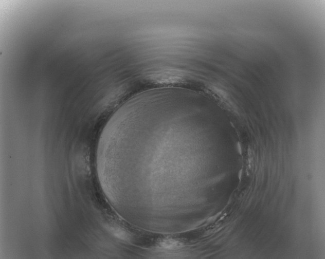 X0000067510547200604150136