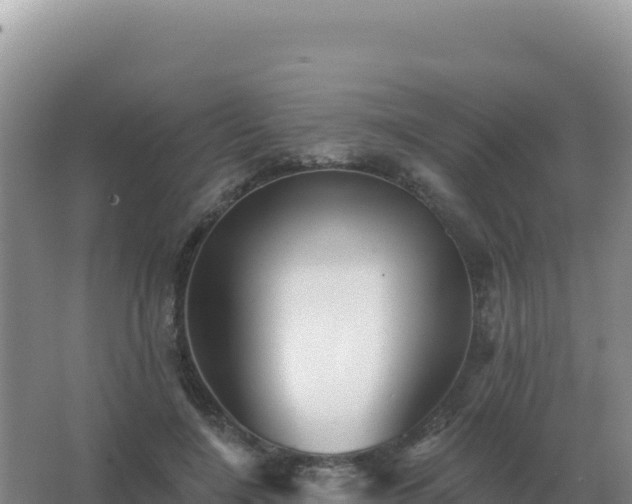 X0000067510548200604150136