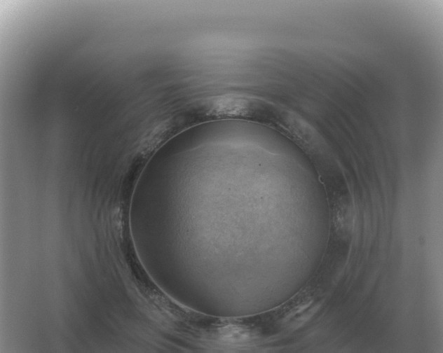 X0000067510551200604150136