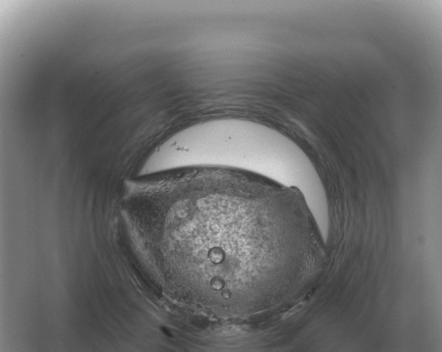 X0000067510553200604150136