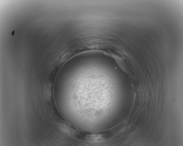 X0000067510554200604150136