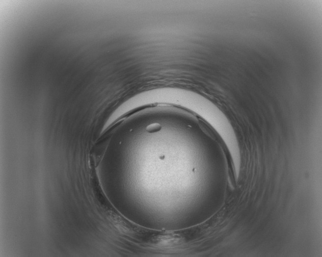 X0000067510555200604150136