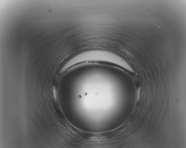 X0000067510556200604150136