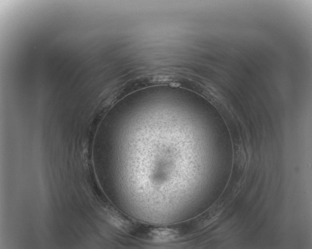 X0000067510557200604150136