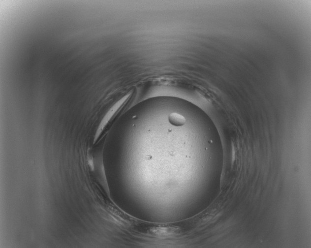 X0000067510558200604150136