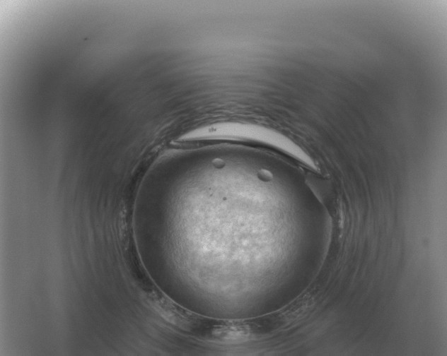 X0000067510559200604150136