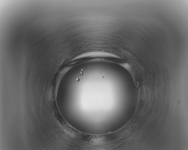 X0000067510560200604150136