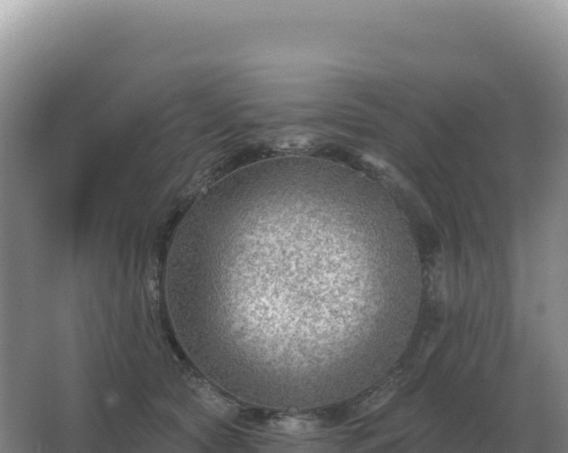 X0000067510561200604150136