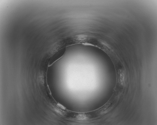 X0000067510562200604150136