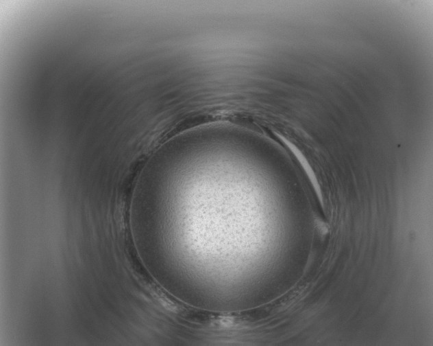 X0000067510565200604150136