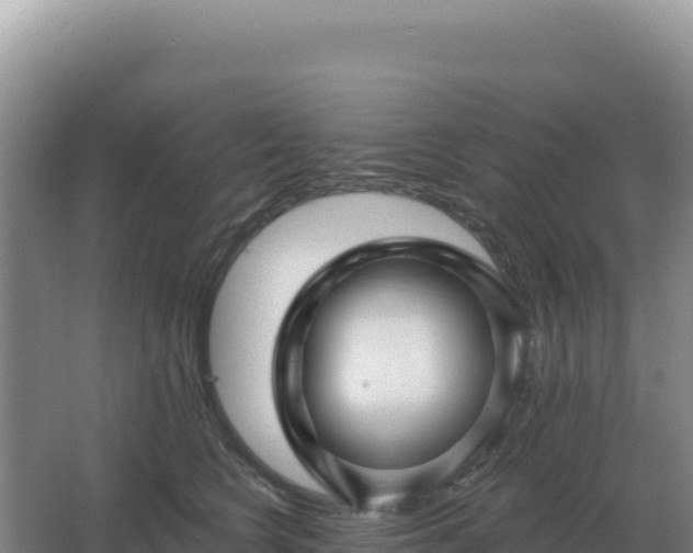 X0000067510566200604150136