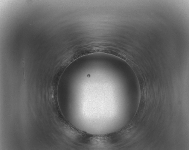 X0000067510567200604150136